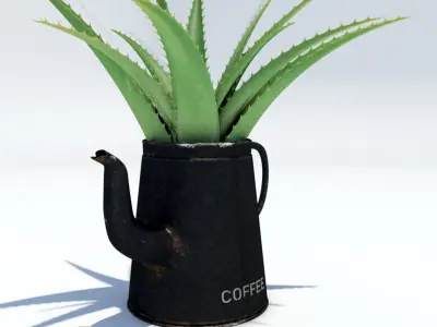 Coffeepot with Aloe Vera plant 3D model