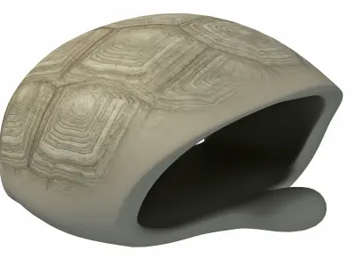 Tortoise Shell Skeleton Low-poly 3D model