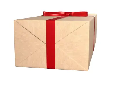 Wrapped Gift Box PBR 08 3D model