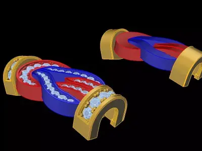 Fred Bracelet  3D print model