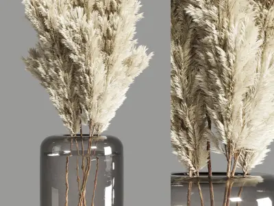 Collection Dry Plants Bouquet Indoor 02 3D model