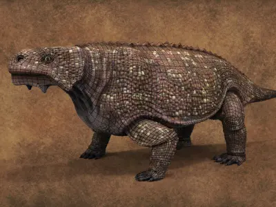 Bradysaurus baini Low-poly 3D model