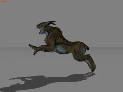 Lynx Animal Wildcat Low-poly 3D model