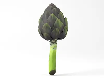 Photorealistic Artichoke 3D Scan 3D model