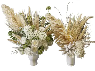 Flower Set 063 pampas chrysanthemum dahlia 3D model