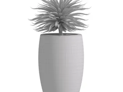 Decorative Outdoor Porch Front Entrance Tree  3D model