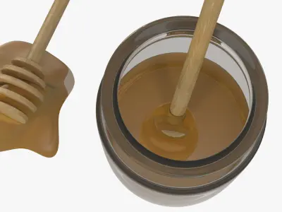 Honey in a pot and Wood Honey Dipper 3D model