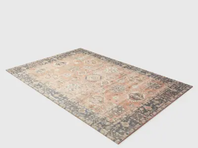 Arlo Home Woven Area Rug 3D model