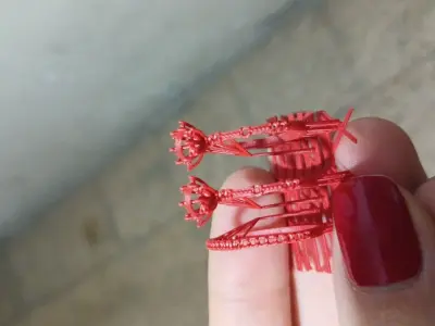 Soulier Ring 3D print model