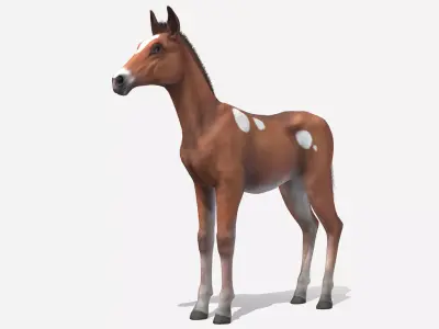 Horse - Foal Low-poly 3D model