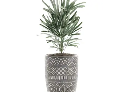 Decorative plants in pots on a stand for the interior 530 3D model