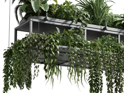 Hanging plants - indoor plant 420 Low-poly 3D model