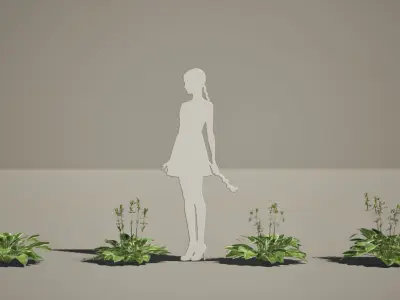 Street Garden in JAPAN - 4 Hosta Flower Grass Plant Low-poly 3D model