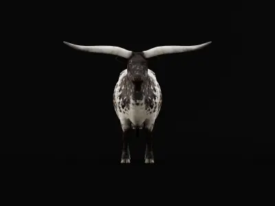 Texas Longhorn Beef Cattle Low-poly 3D model
