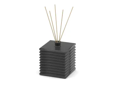 Room fragrance reed diffuser 3D model