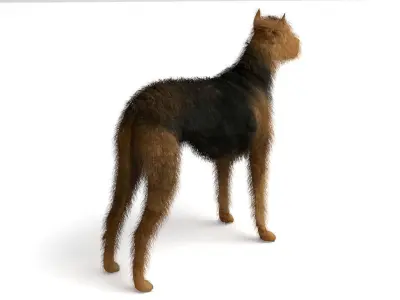 Street Dog 3D model