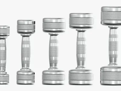 Dumbbell set chrome 3D model