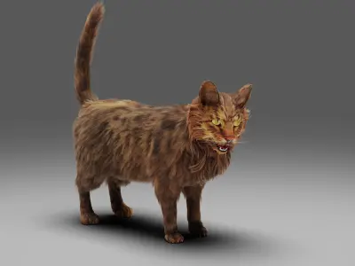 Fur Cat Grey Rigged Low-poly 3D model