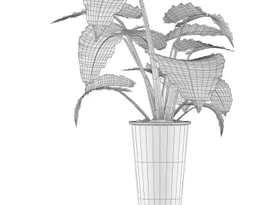 Plants Collection 71 3D model