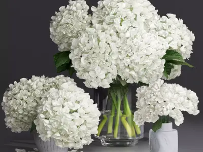 Hydrangea and peony Bouquet Flower plant Vase decorative set 3D model