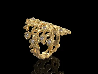 Women Ring 003 3D print model