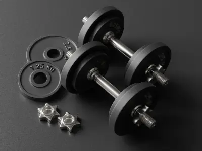 dumbells set of dumbbells and weight plates Low-poly 3D model