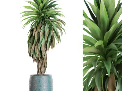 Plants collection vol 52