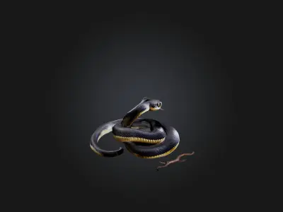 Snake Low-poly 3D model purchase