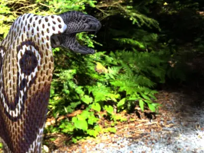 Cobra head Free 3D model