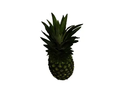 Pineapple Low-poly 3D model