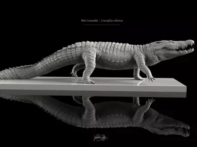 Nile Crocodile 3D Model LowPoly SubD HighPoly Decimated Low-poly 3D model