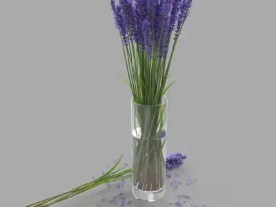 The bouquet of lavender in a vase 3D model