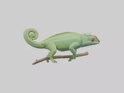 Parsons Chameleon displaying model Low-poly 3D model