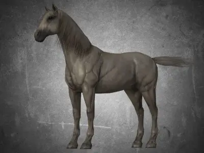 Horse - D11-D12 3D model