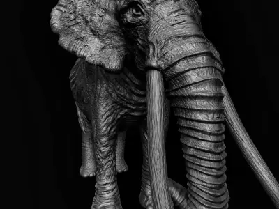 ELEPHANT with tusks Low-poly 3D model order
