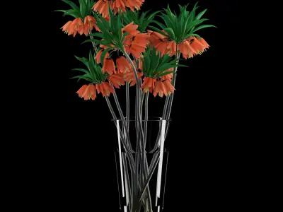 Fritillaria Imperials Bouquet 3D model