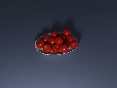Apple Fruit Plate 3D model