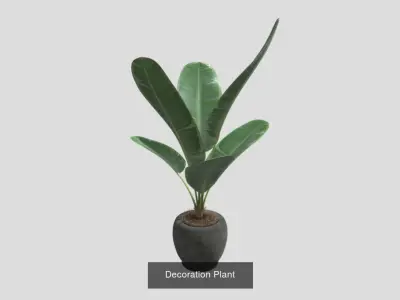 Plants pack - 4 3D Model Collection