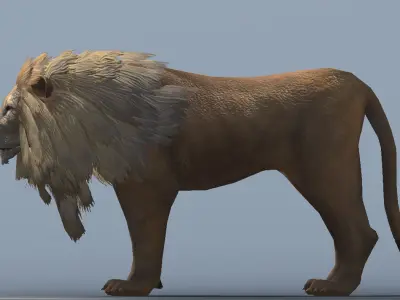 Lowpoly Male Lion Rigged and Animated for VR AR Games Low-poly 3D model