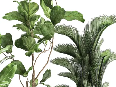 Houseplants in a rust flowerpot for the interior 996 3D model