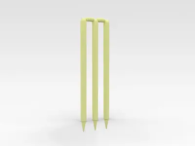 Cricket Wickets 3D model