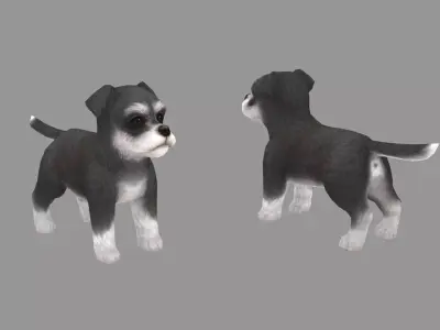 Cartoon pet puppy - Schnauzer - baby dog Low-poly 3D model