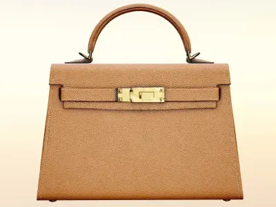 Woman Handbag Low-poly 3D model