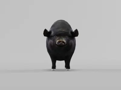 Vietnamese Pot-Bellied Pig Animal Low-poly 3D model