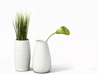 Grass And A Lily In White Vases 3D model