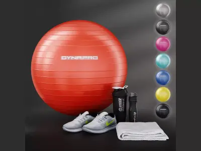 Fitness set dynapro gym ball 3D model