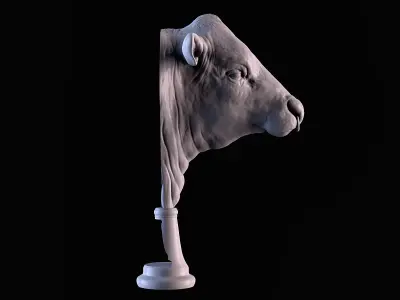 Angus Bull 3D print model