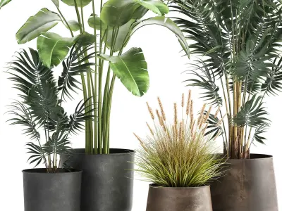 Houseplants in a flowerpot for the interior 964 3D model
