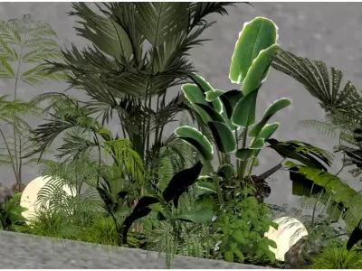 Tropical Plant Combination 3D model