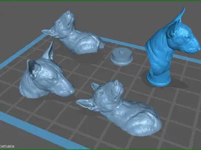Bull Terrier bust 3D print model